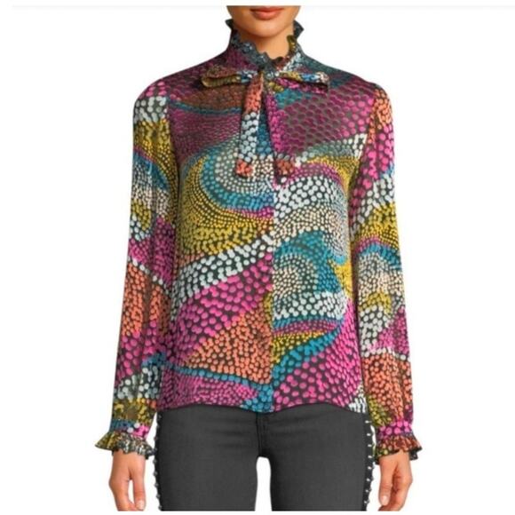 Saloni Polka Dot Devore Satin Blouse Sz 6 Multicolor Sheer Ruffle Cuff Whimsical - Picture 1 of 13